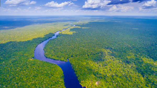 Nokia deploys subaquatic fibre in the Amazon Rainforest