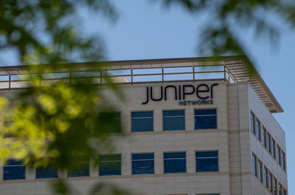 juniper