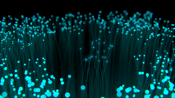fibre