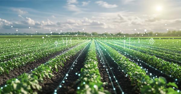 High Growth AI Accelerator Showcase