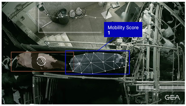 mobilityscore