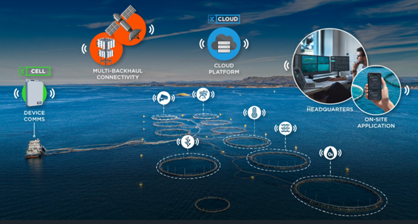 remote monitoring