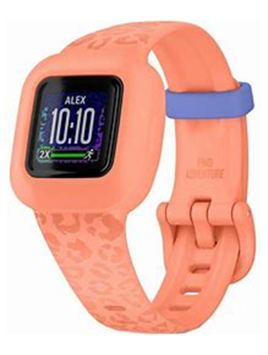 garmin