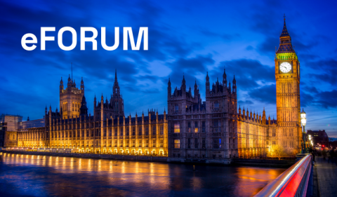 Image of the Houses of Parliament, London UK