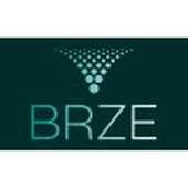 BRZE-Associates-Ltd