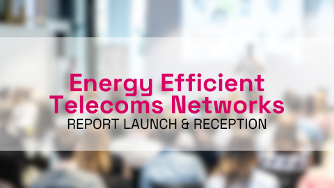 Energy Efficient Telecoms Networks