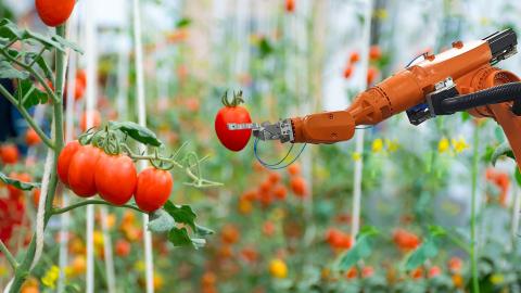 Agritech Robot