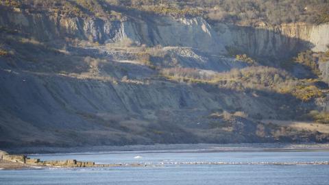 Dorset Landslides