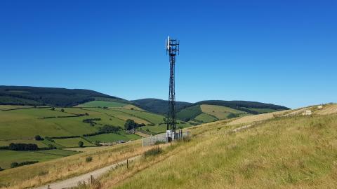 rural mast