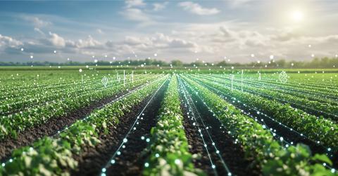 High Growth AI Accelerator Showcase